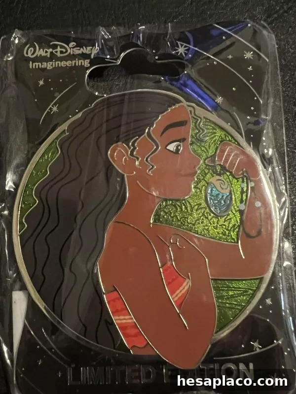 Disney WDI Moana Heroes Profile Pin