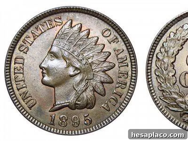 1895 Indian Head