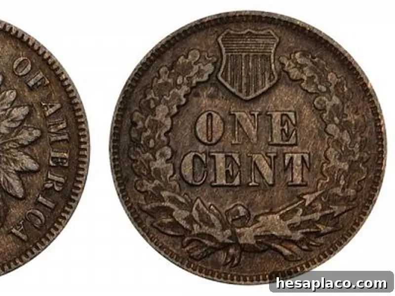 1870 Indian Head Coin