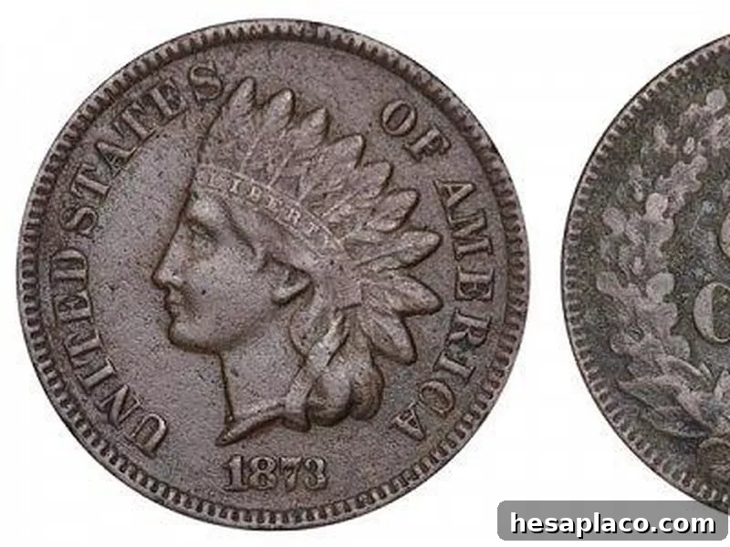 Double liberty 1873