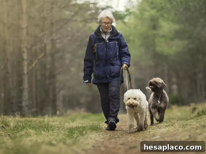 Pet Care