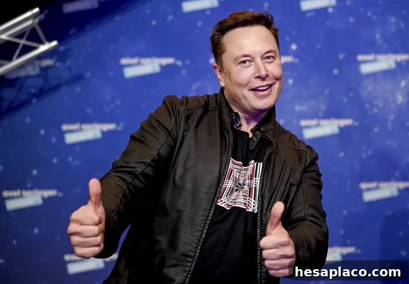 SpaceX owner and Tesla CEO Elon Musk in 2020