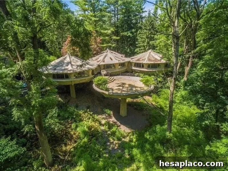 Mushroom house in New York