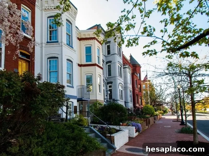 Townhomes in Washington, D.C.