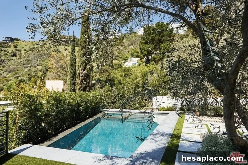 Backyard pool