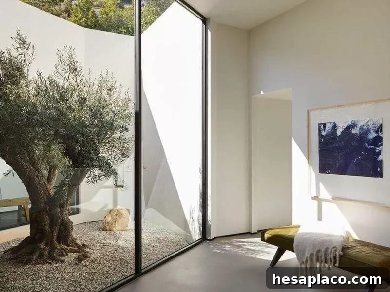 Tree in living room