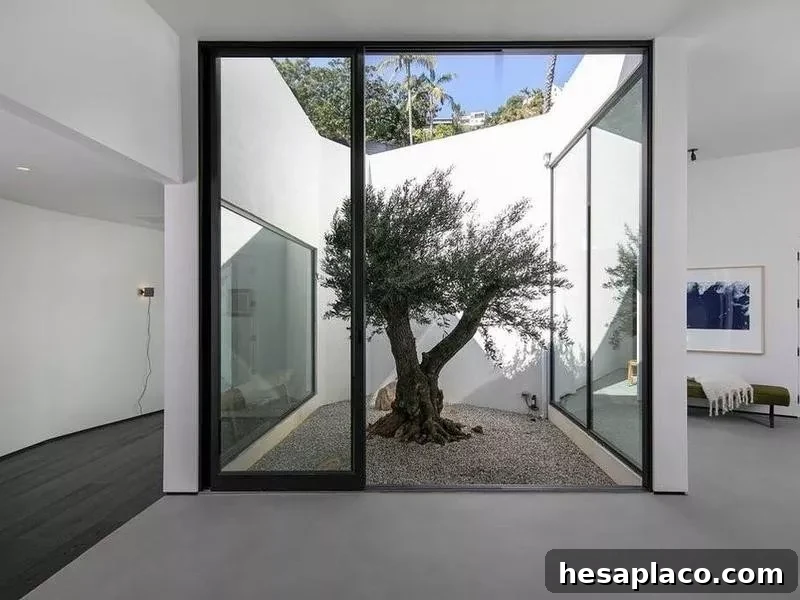 Living room atrium
