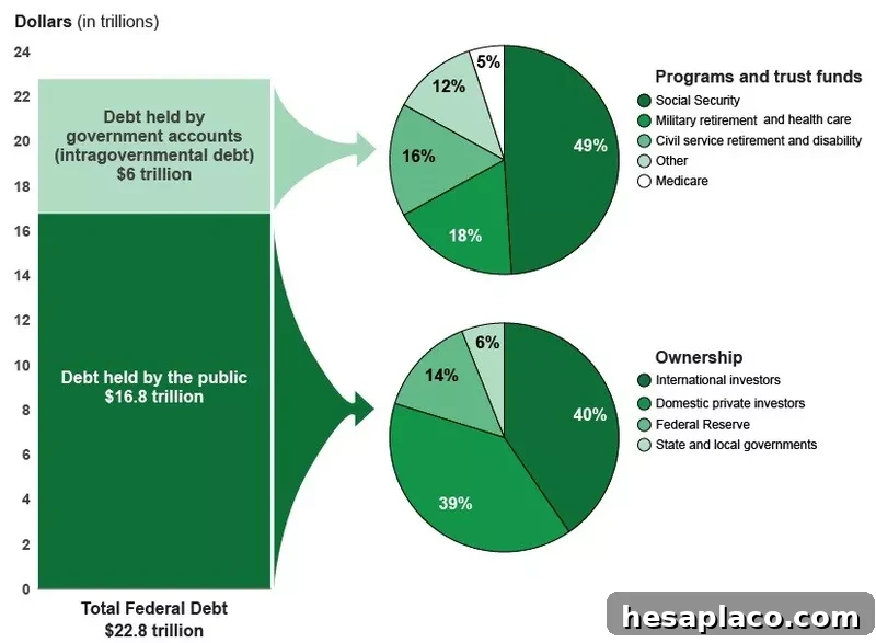 Public debt vs. government debt