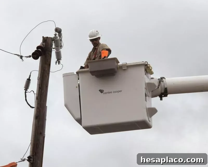 Power line worker