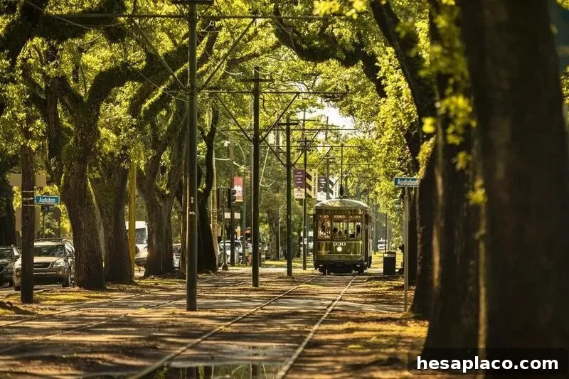 St. Charles streetcar in New Orleans
