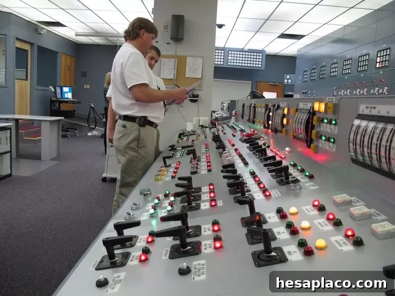 Nuclear power operator