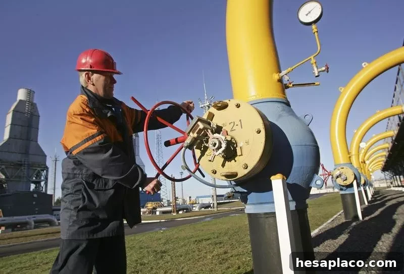 Gas compressor