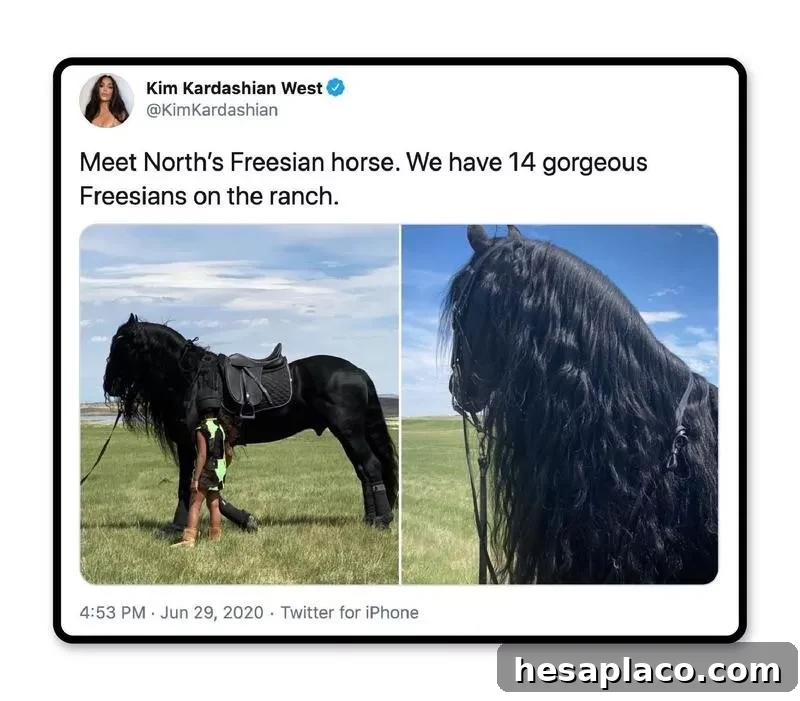 Freesians