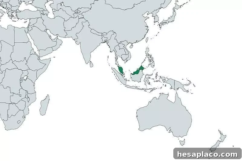 Malaysia