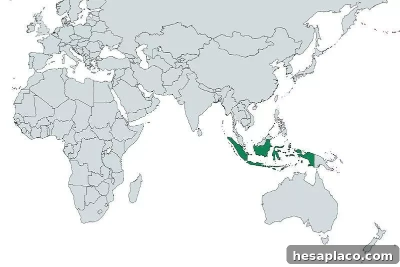 Indonesia