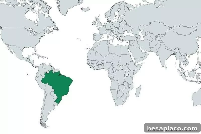 Brazil