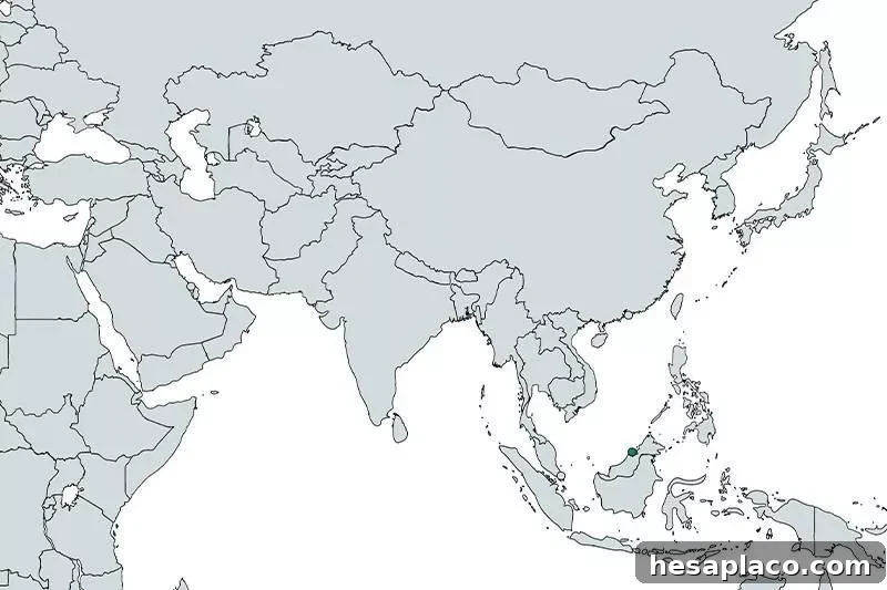 Brunei