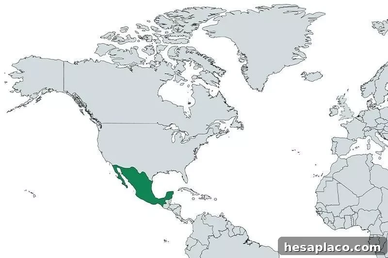 Mexico