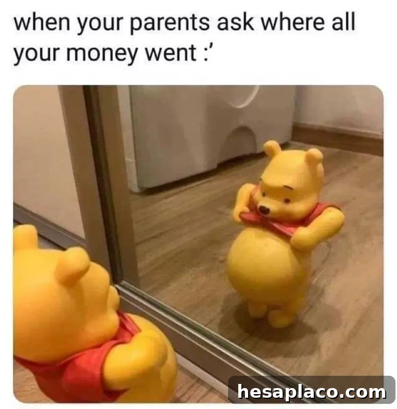 Winnie the Pooh