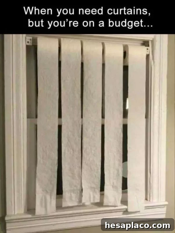 Toilet paper curtains