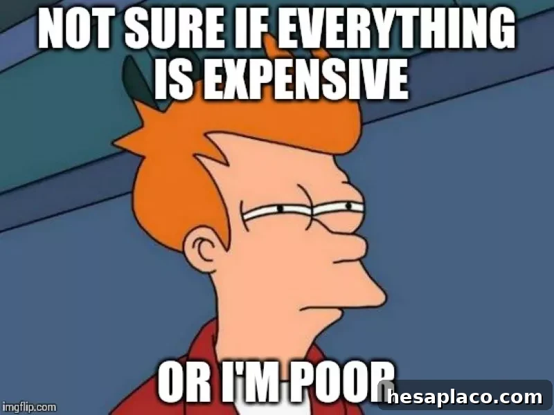 Not sure if everything is expensive