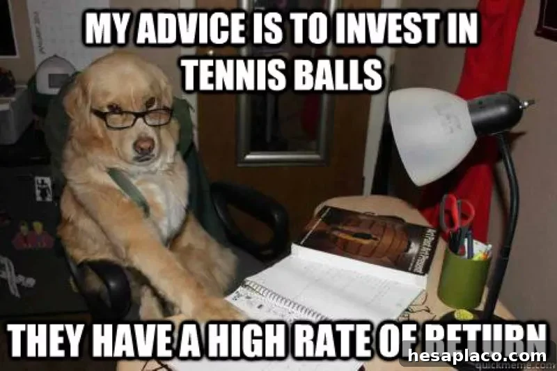 Tennis ball investment