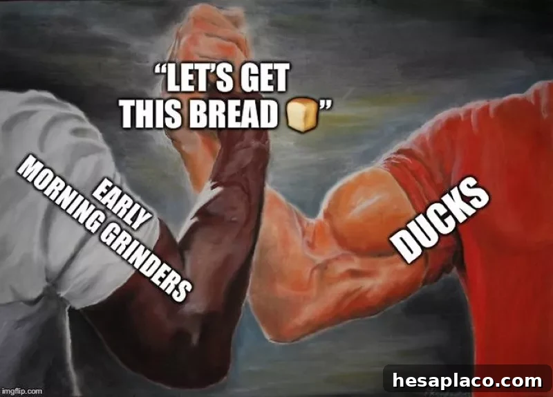 Let's get this bread