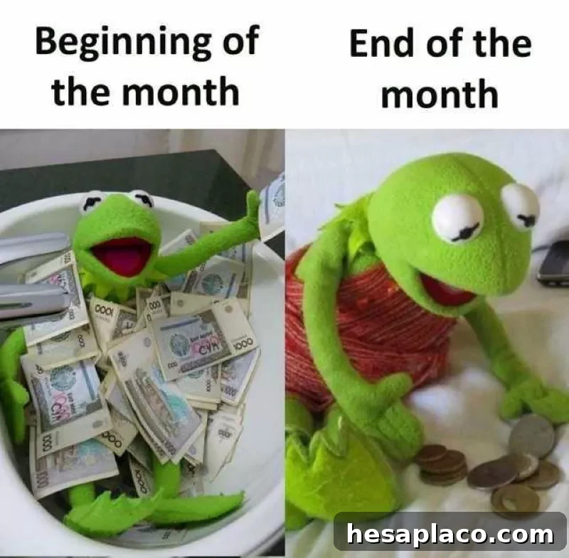 Money meme