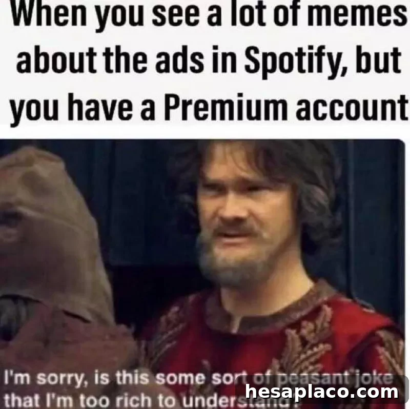 Spotify premium