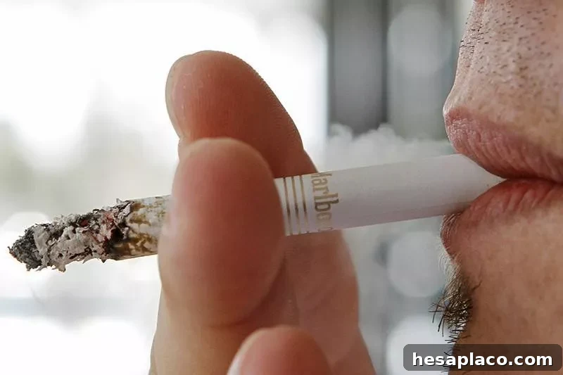 Smoker