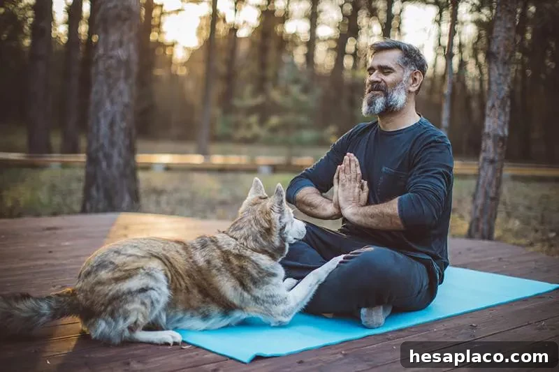 Meditation with a dog