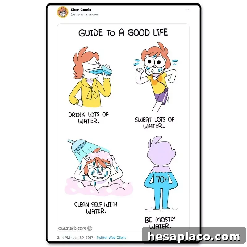 Guide to a good life