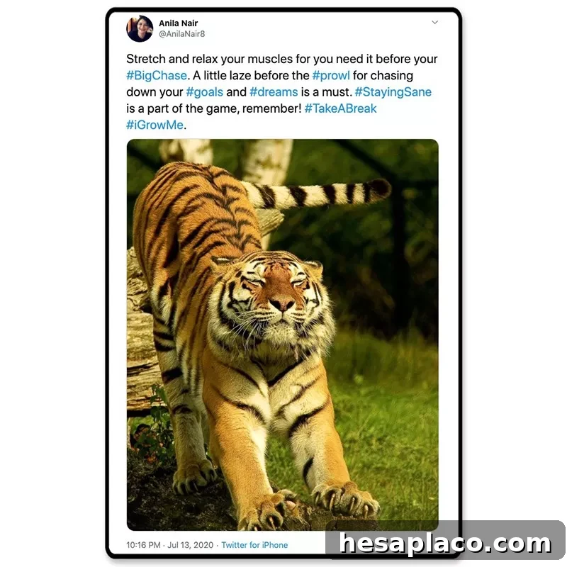 Tiger style