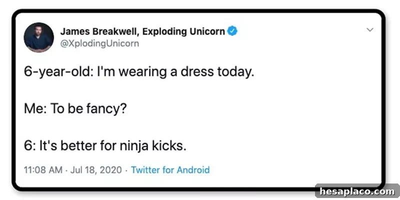 Ninja kicks