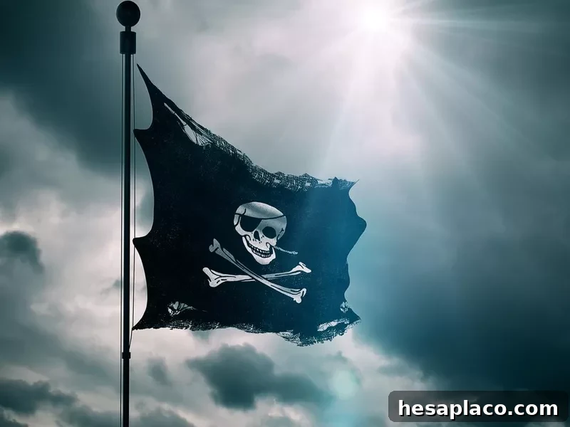 Pirate flag