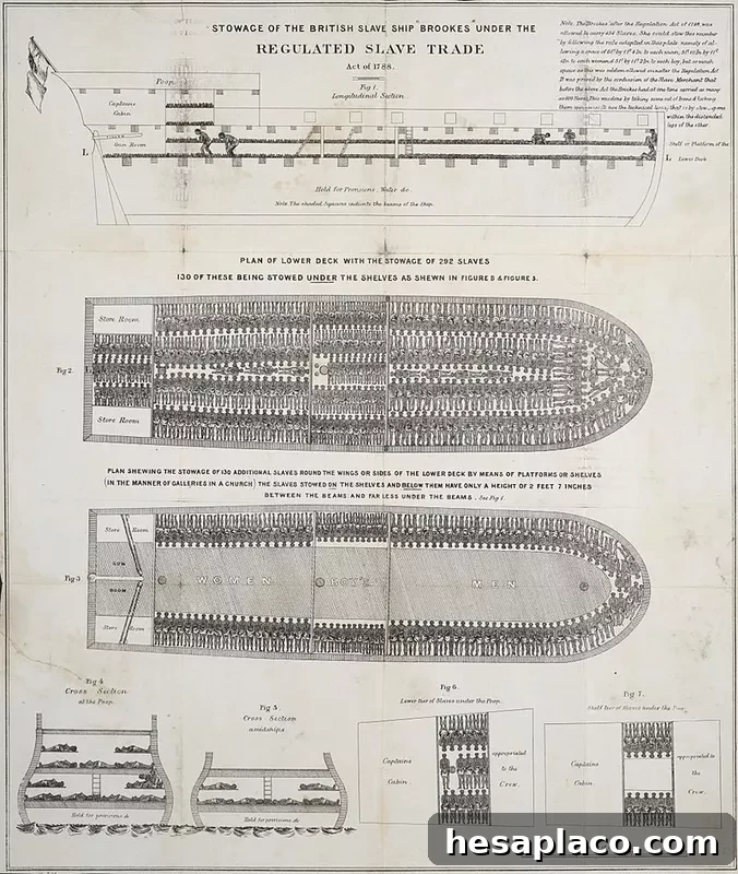 The slave ship Brookes
