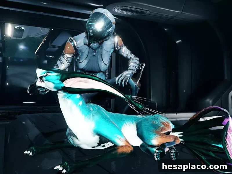 Warframe