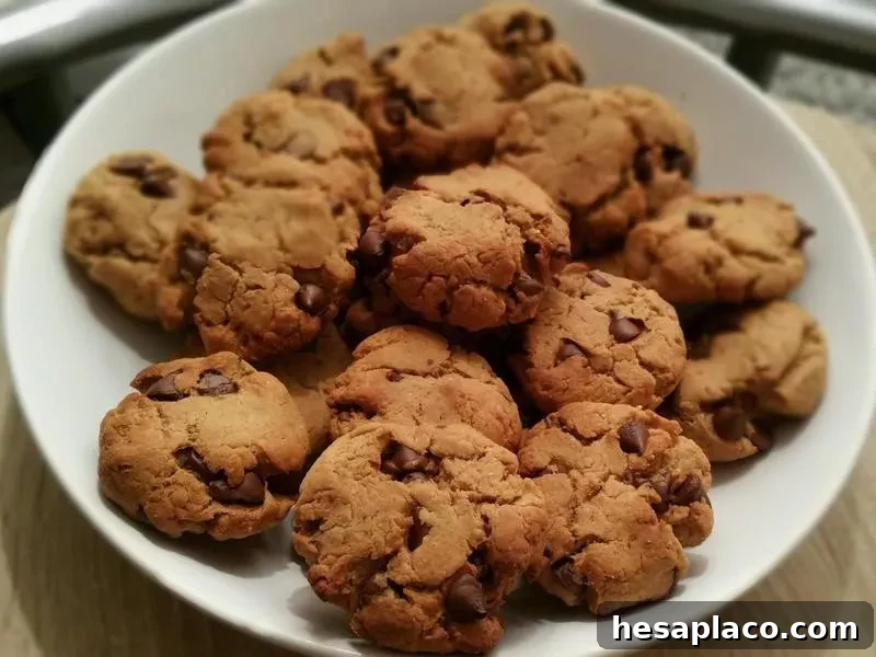 Sugar-Free Chocolate Chips