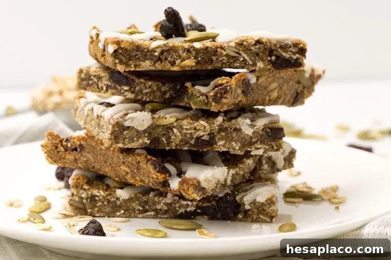 Cinnamon Oatmeal Raisin Bar