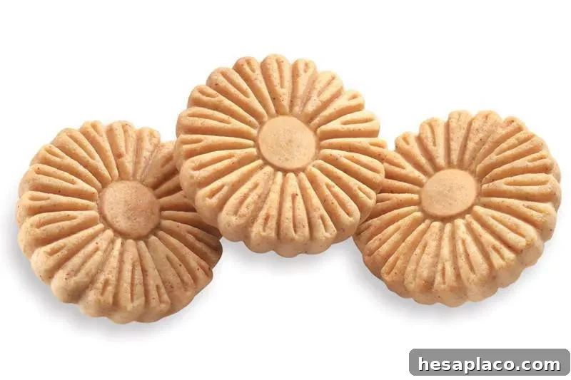 Daisy Go Rounds