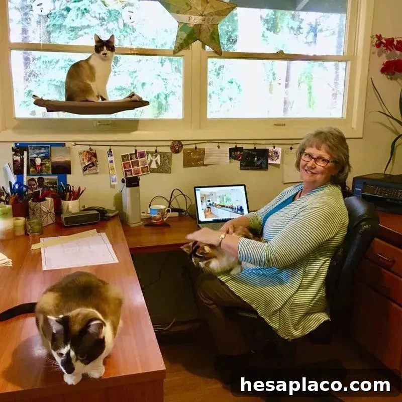 Cat coworkers