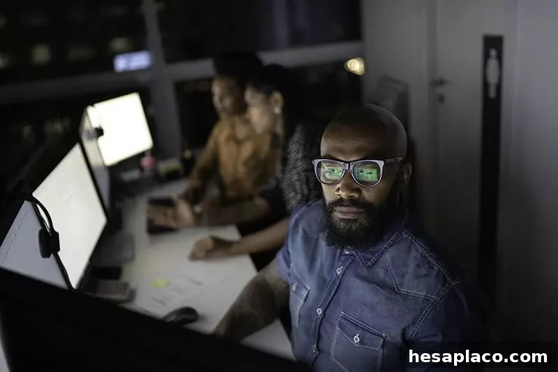 Software developers
