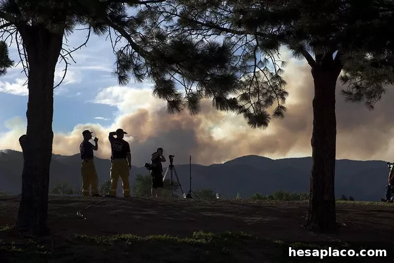 Forest fire inspectors and prevention specialists