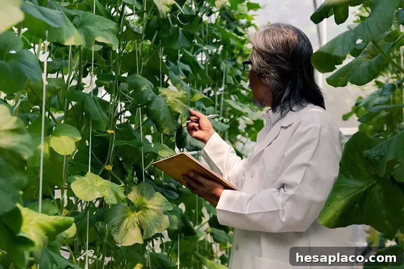 Agricultural engineer