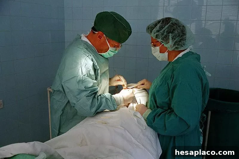 Oral and maxillofacial surgeon