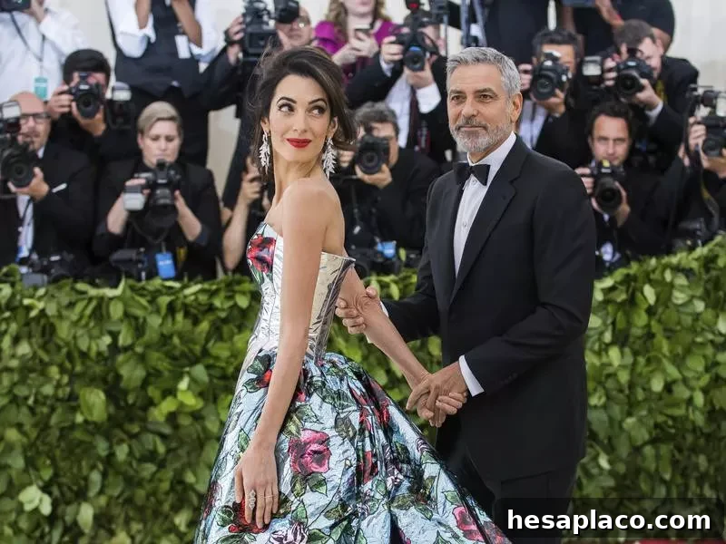 The Clooneys