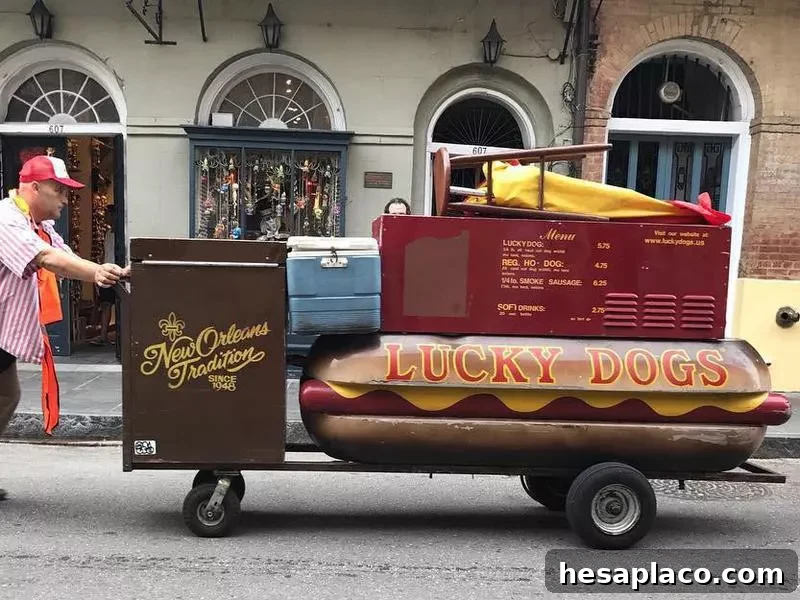 Lucky Dogs