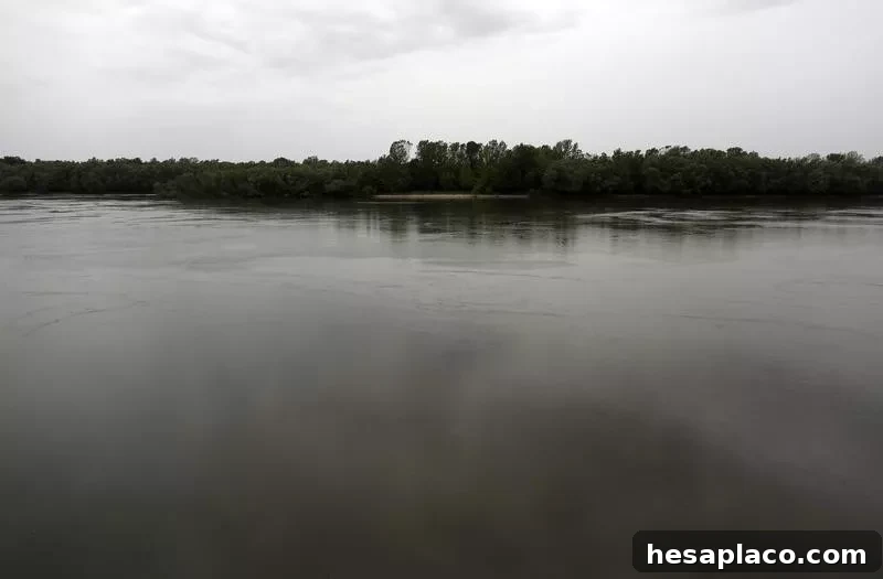 img 149225 32