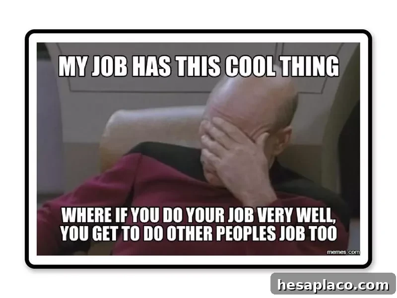 Skills