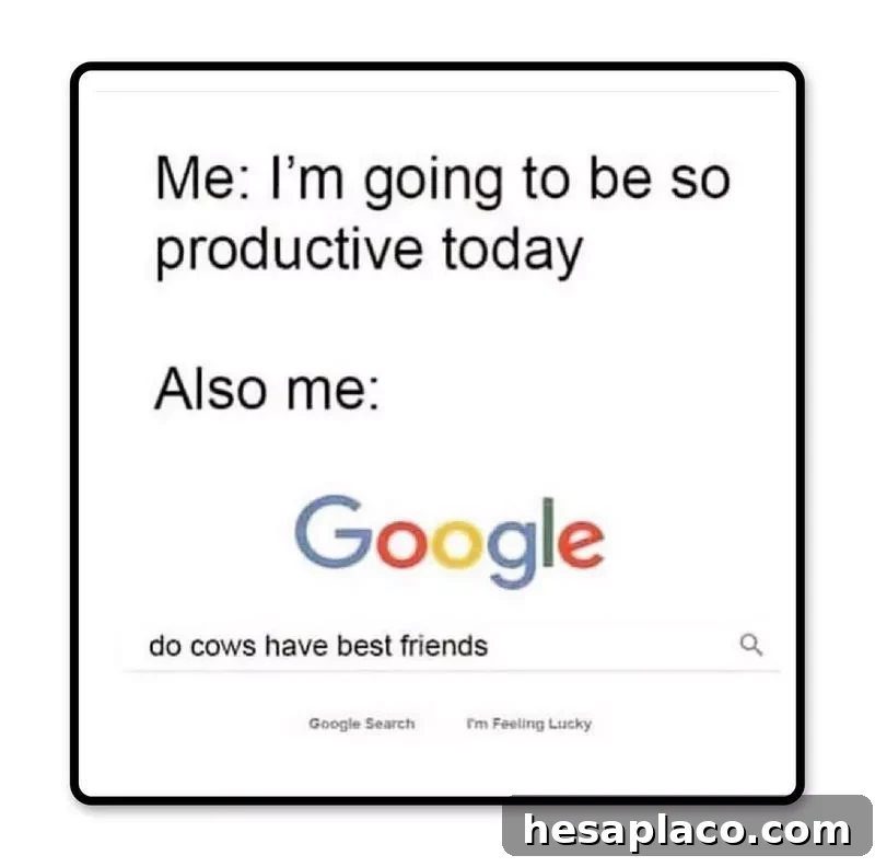Google it